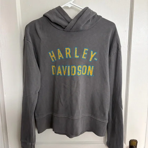 Harley-Davidson Genuine MotorClothes Gray Hoodie - Picture 2 of 6